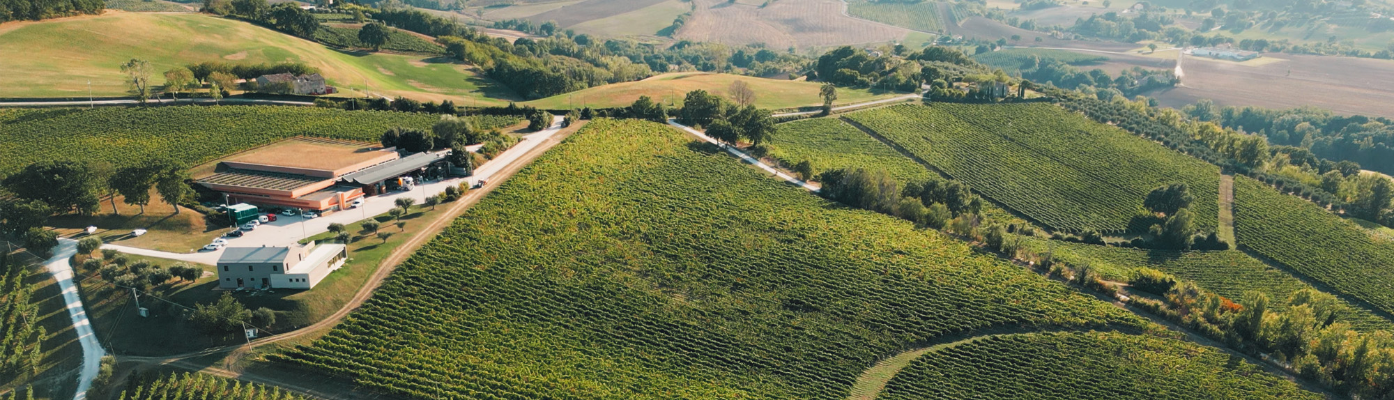 CasalFarneto-Verdicchio-Cantina